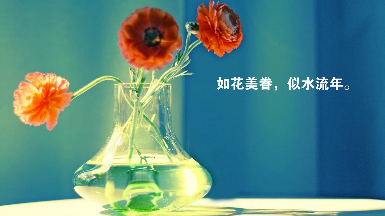 快手在线业务24小时自助点赞,彩虹代刷网,ks推广自助网站便宜